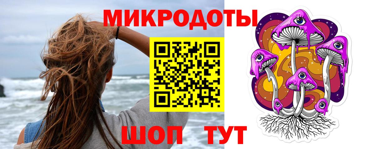 Галлюциногенные грибы Psilocybine cubensis Белая Калитва