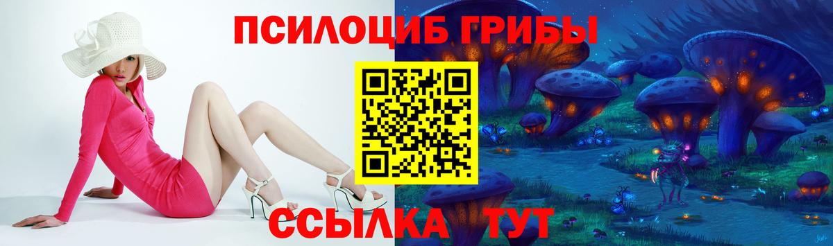 Галлюциногенные грибы Psilocybine cubensis Белая Калитва